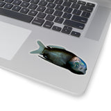 Barreleye Kiss-Cut Sticker