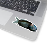 Barreleye Kiss-Cut Sticker