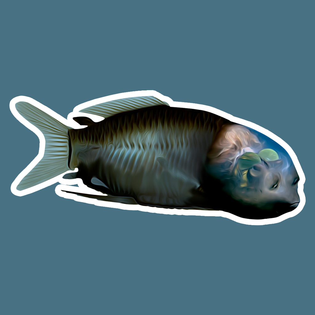 Barreleye Die Cut Sticker