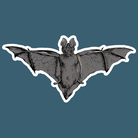 Bat Die Cut Sticker