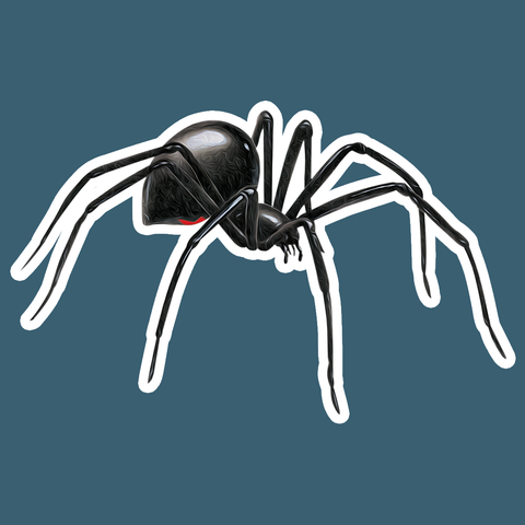 Black Widow Spider Die Cut Sticker