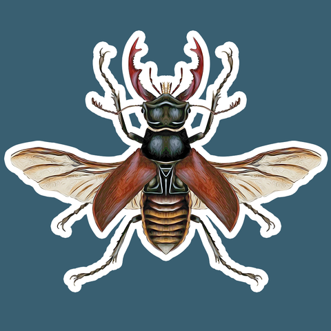 Stag Beetle Die Cut Sticker