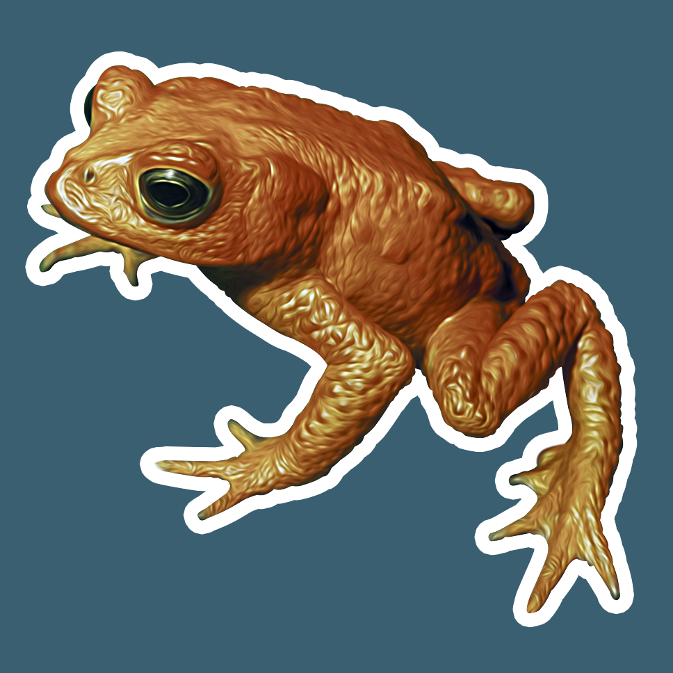 Golden Toad Die Cut Sticker