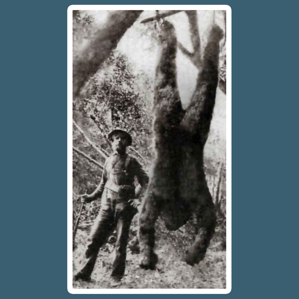 Bigfoot Hunter Vintage Photo Rectangular Sticker