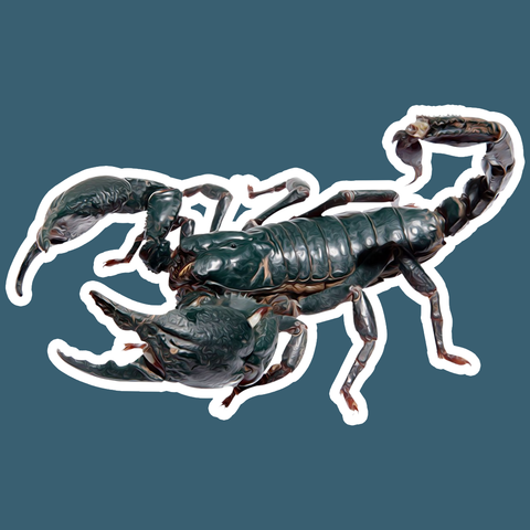 Scorpion Die Cut Sticker