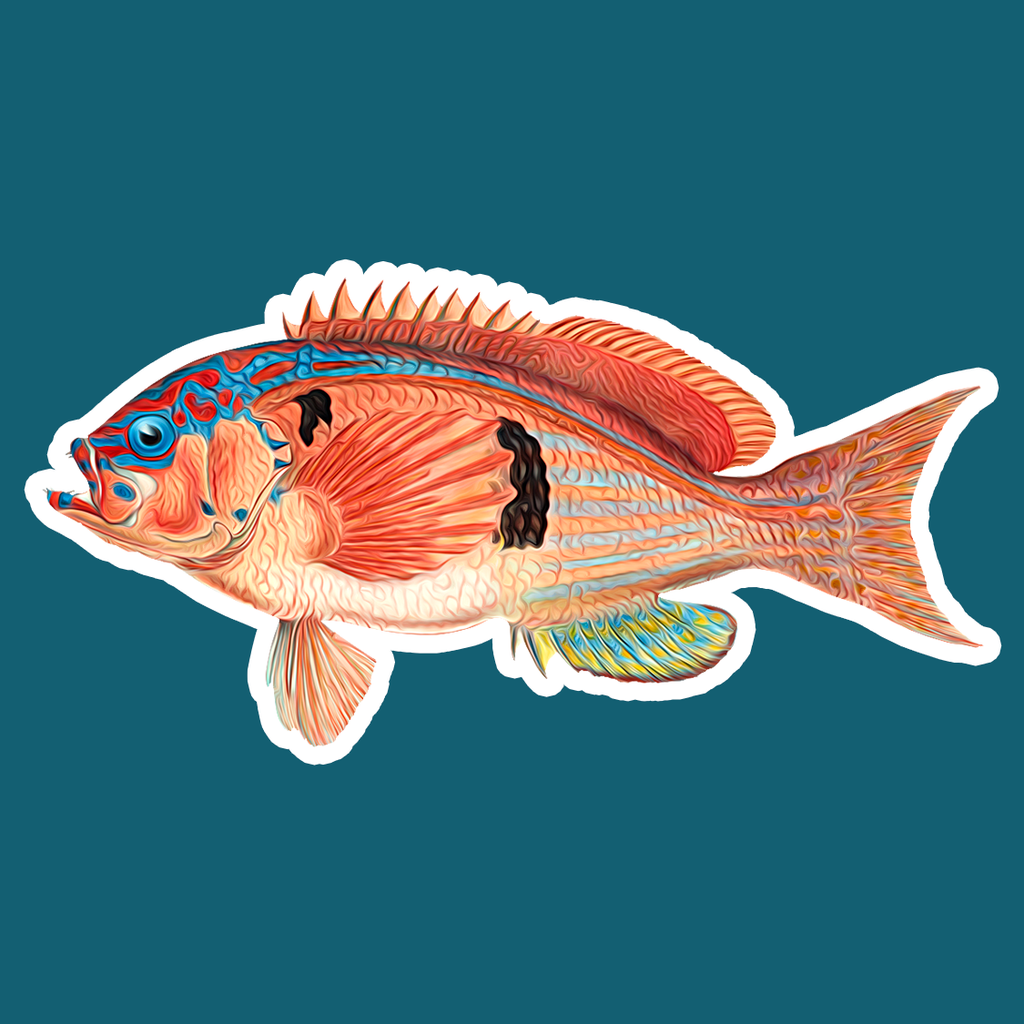 Sea Perch Die Cut Sticker