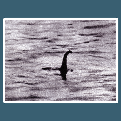 Loch Ness Monster Surgeon's Photo Rectangular Sticker