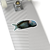 Barreleye Kiss-Cut Sticker