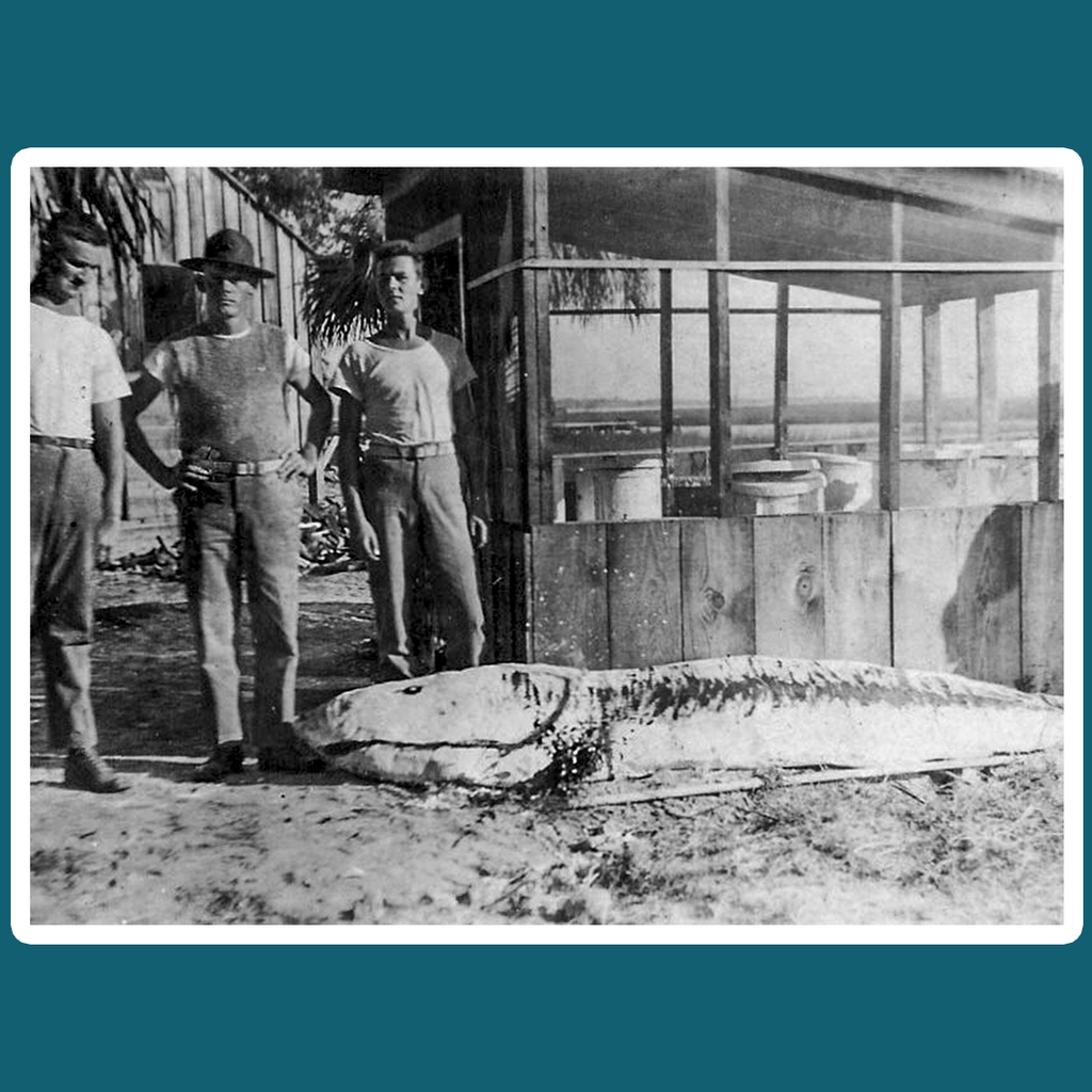 Mystery Fish Vintage Photo Rectangular Sticker